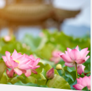 East Asian Meditation