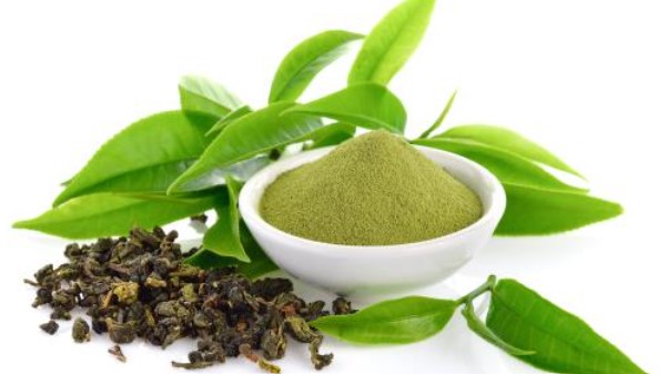 Green Tea Extract