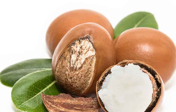 Shea Butter